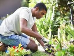Hobi Aktif: Bagaimana Berkebun dan Jalan Santai Bisa Menyehatkan Tubuh dan Pikiran
