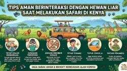 Tips Aman Berinteraksi Dengan Hewan Liar Saat Melakukan Safari Di Kenya