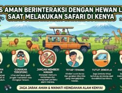 Tips Aman Berinteraksi Dengan Hewan Liar Saat Melakukan Safari Di Kenya
