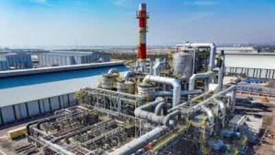 Analisis Efektivitas Lembaga Ombudsman Dalam Mengawasi Maladministrasi Pejabat Politik Di Daerah